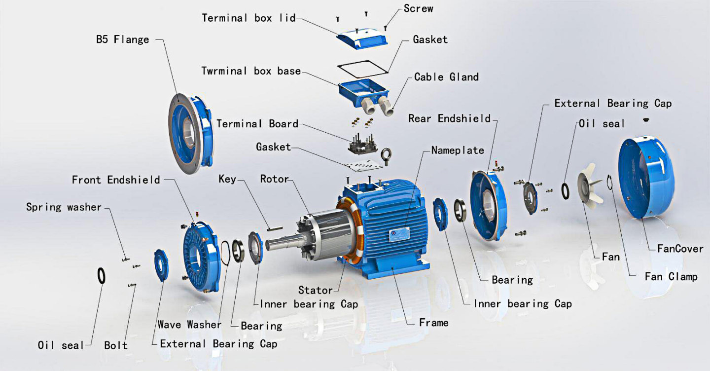 IE1-Standard1