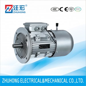 YEJ Series Three Phase Motor With AC Brake
